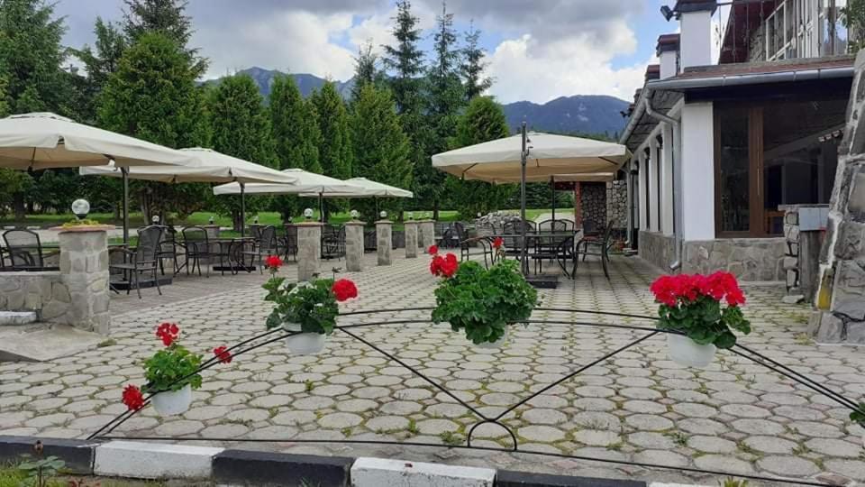 Hotel Cheia Кея Екстер'єр фото