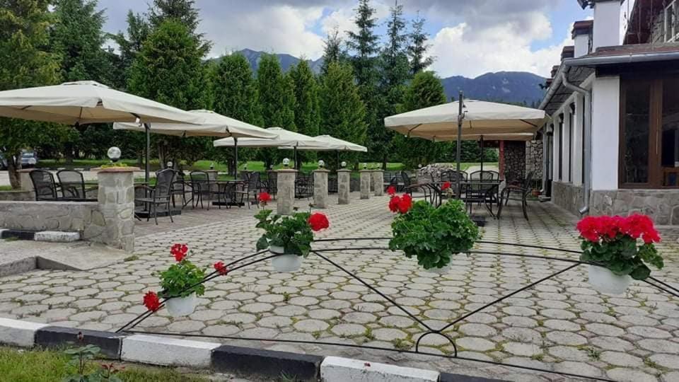 Hotel Cheia Кея Екстер'єр фото